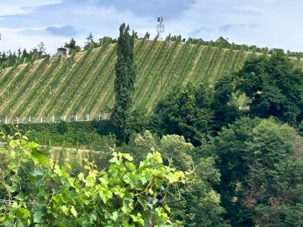 Burgenland und Steiermark – Ferien